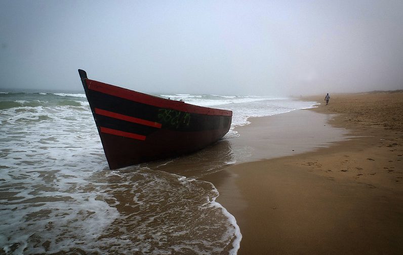 50379625617_28727365e7_c