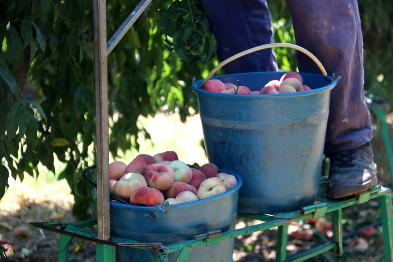 532021461_1326883589447782_8975471452579802721_n