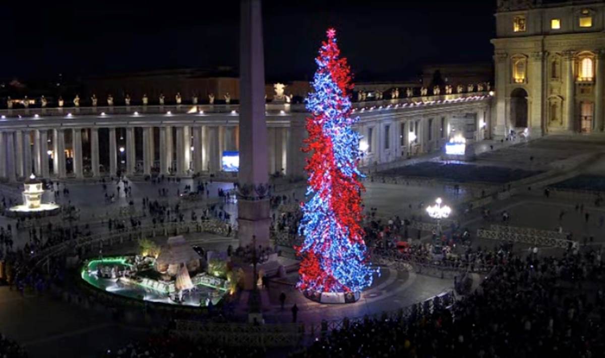 AgenciaFlama_ArbreVatica2024_LMC