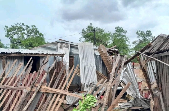 AgenciaFlama_CicloJudeMadagascar_LMC