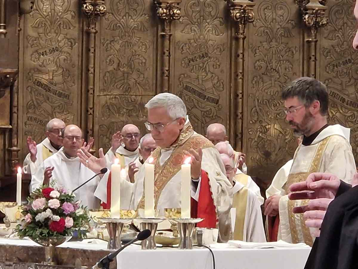 AgenciaFlama_Planellas_LMC