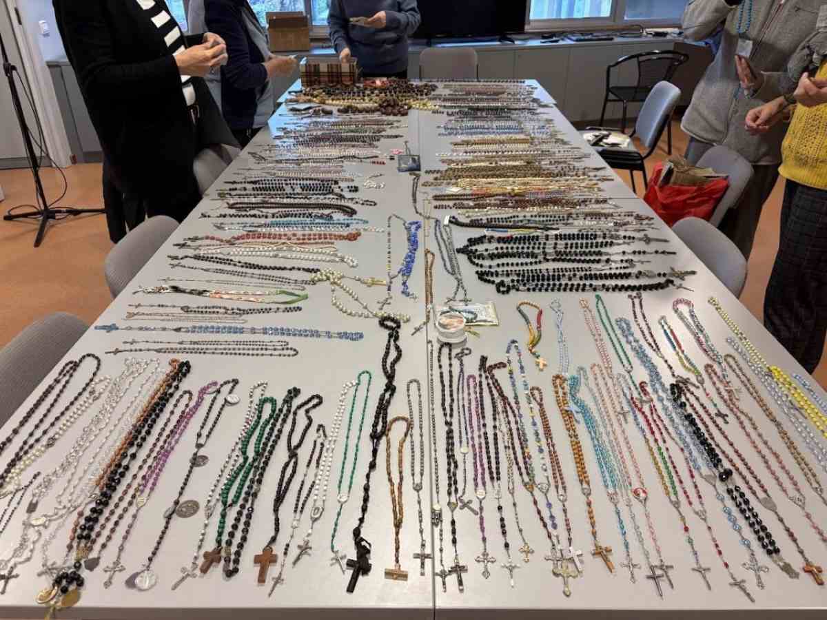 AgenciaFlama_Rosaris_LMC