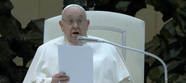 AgenciaFlama_audieciageneral20250106_LMC2-768x343