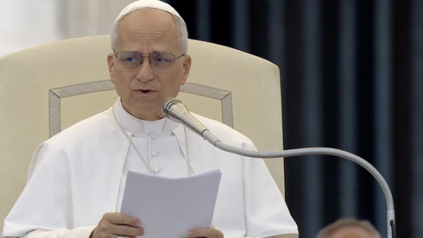 El papa Lleó XIV durant l'audiència general I Religión Digital