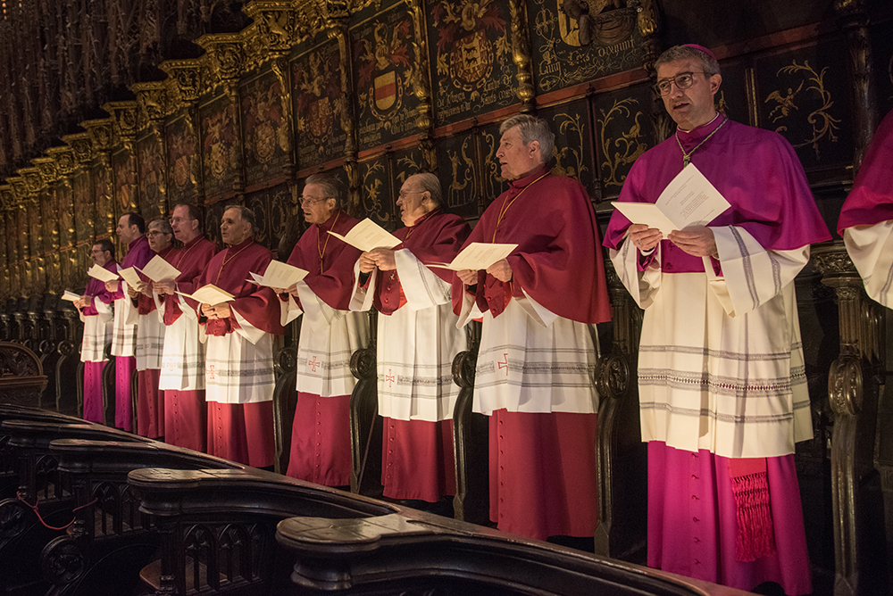 Canonges-cat-112_low