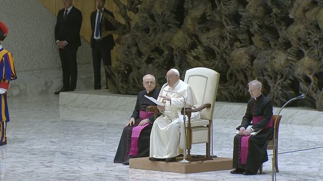 Francisco-audiencia-general_2745635415_17521210_660x371