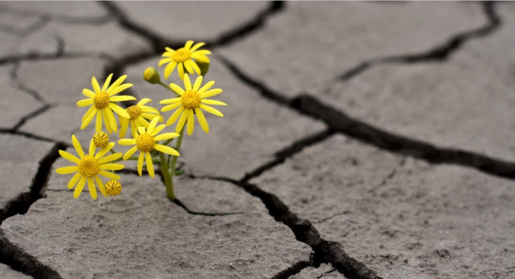 Qué-es-la-esperanza