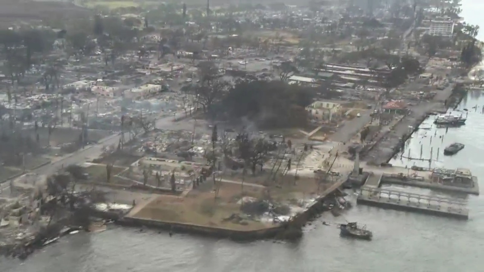 WhatsApp Image 2023-08-11 at 15.59.20