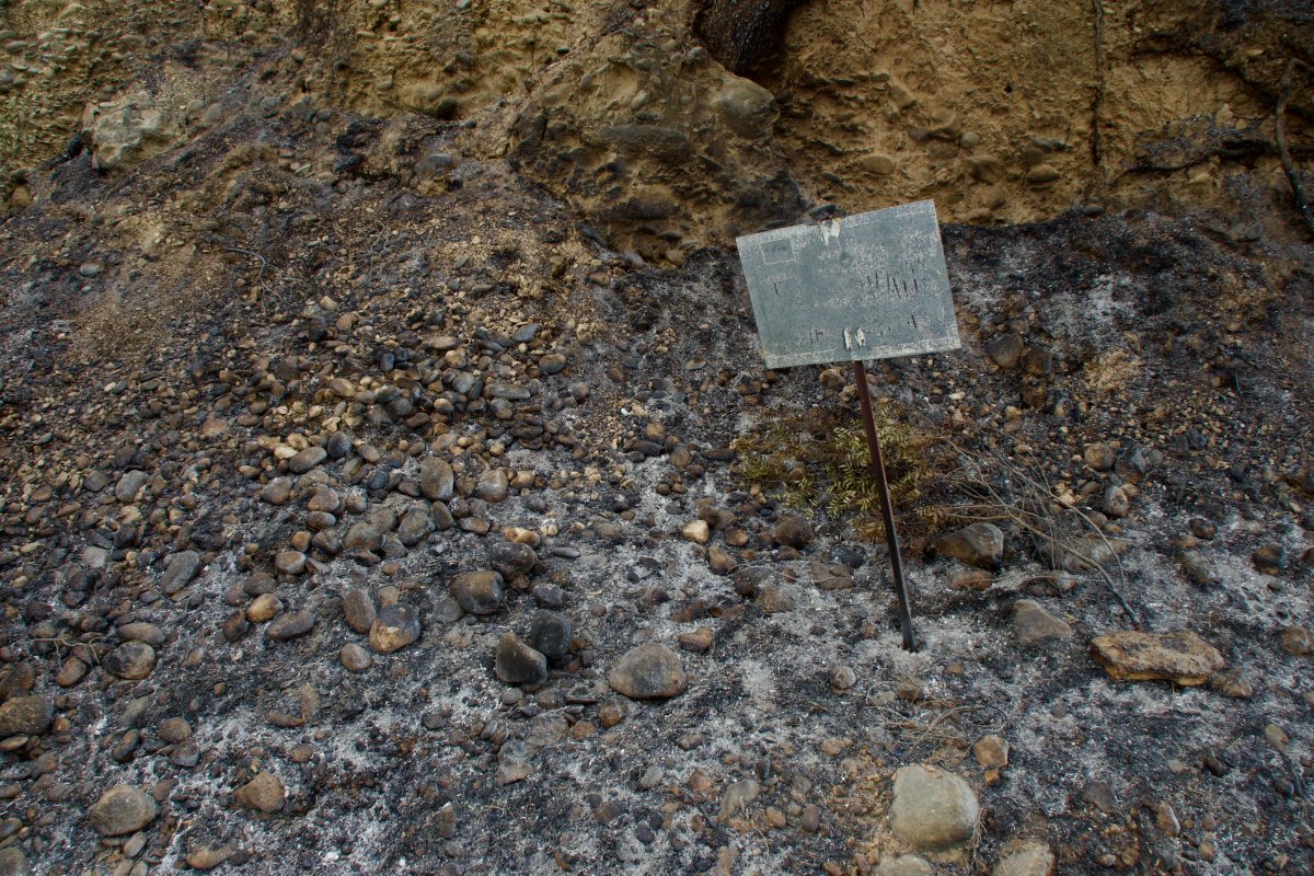 agenciaflama-incendibaixebre