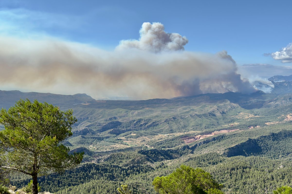 agenciaflama-incendipauls