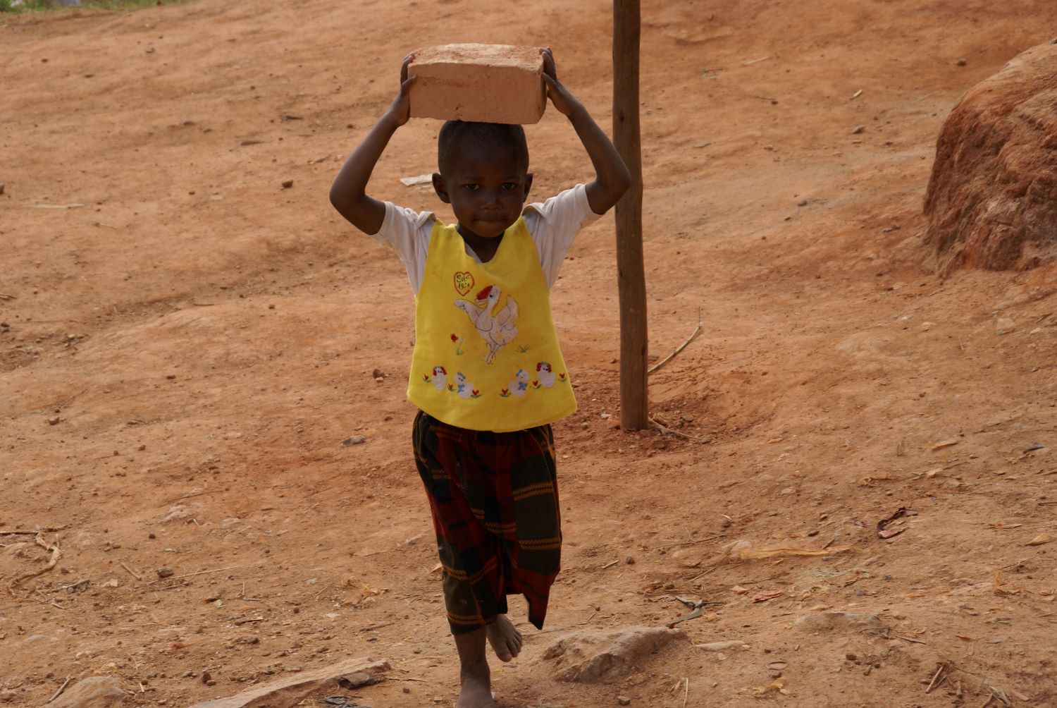 agenciaflama-mansunides