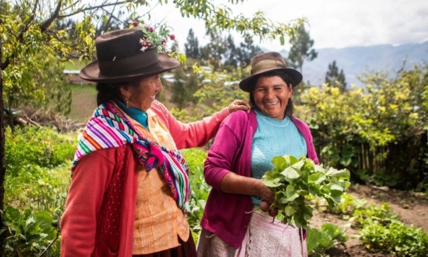 agenciaflama-mansunides1