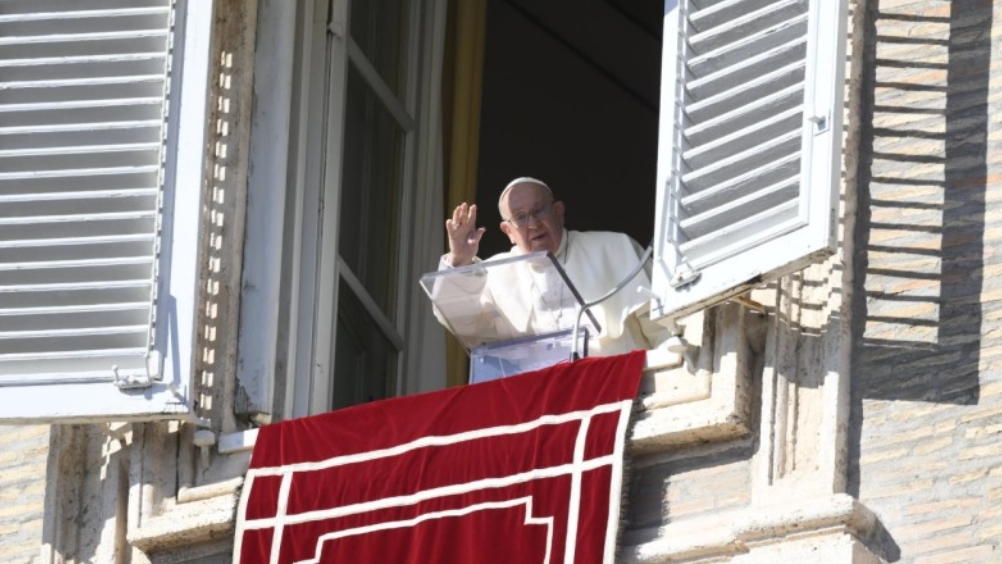 agenciaflama-papafrancesc