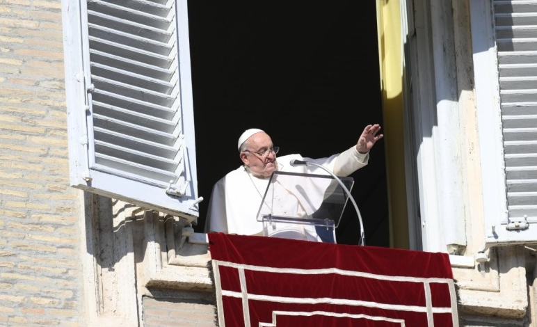 agenciaflama-papafrancesc