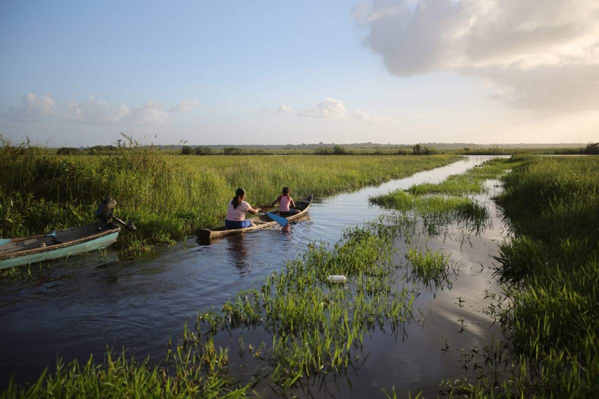 agenciaflama-temps-creació