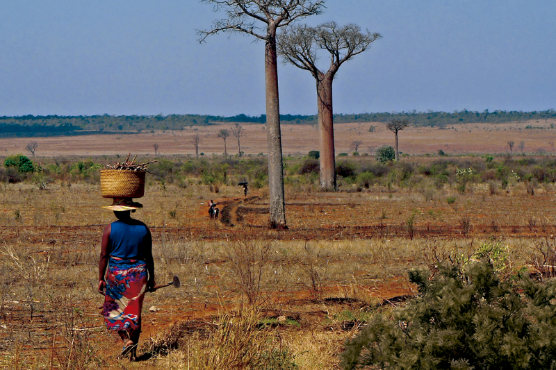 manos-unidas-ong-campana-2024-noticia
