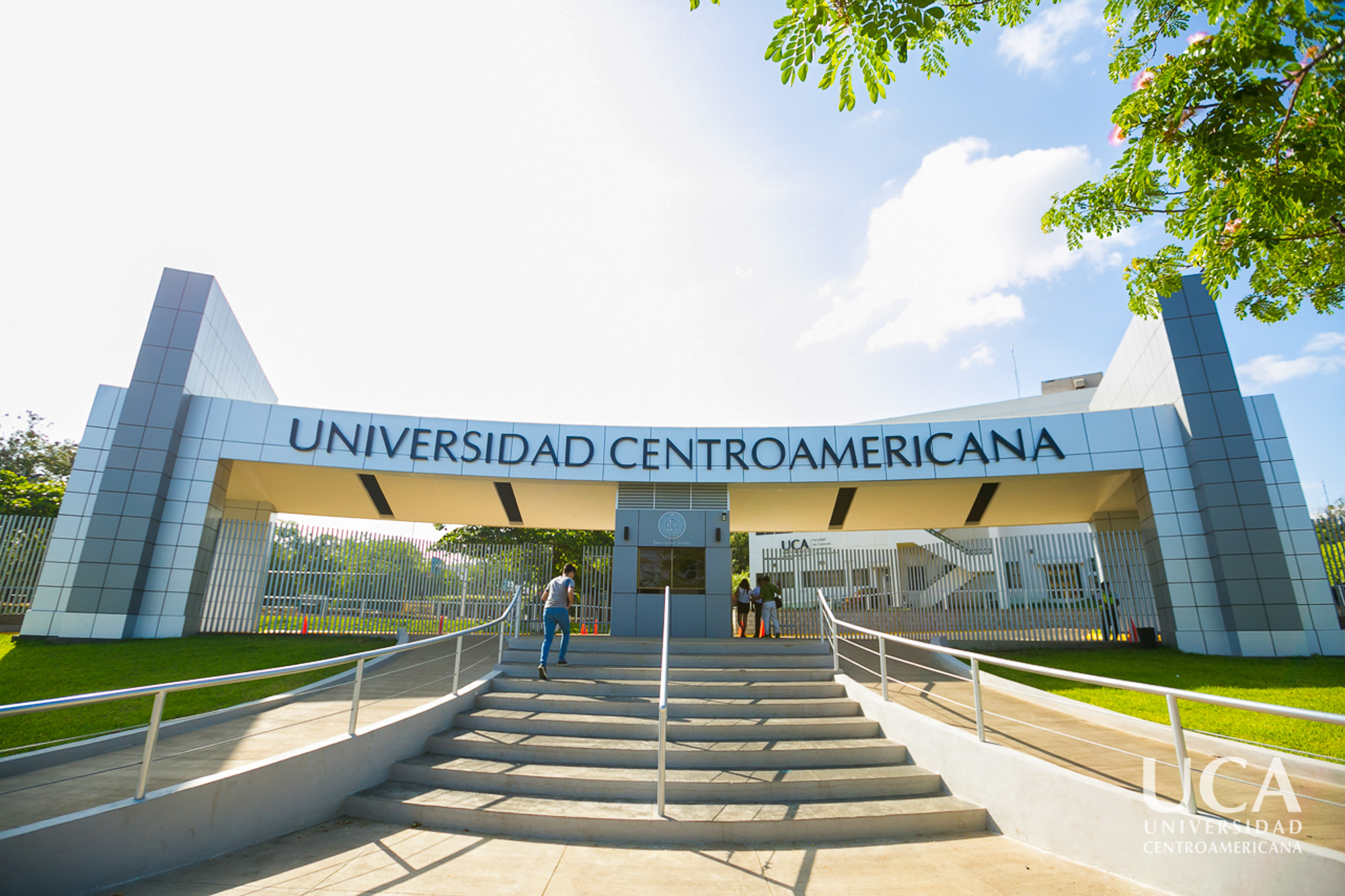 uca